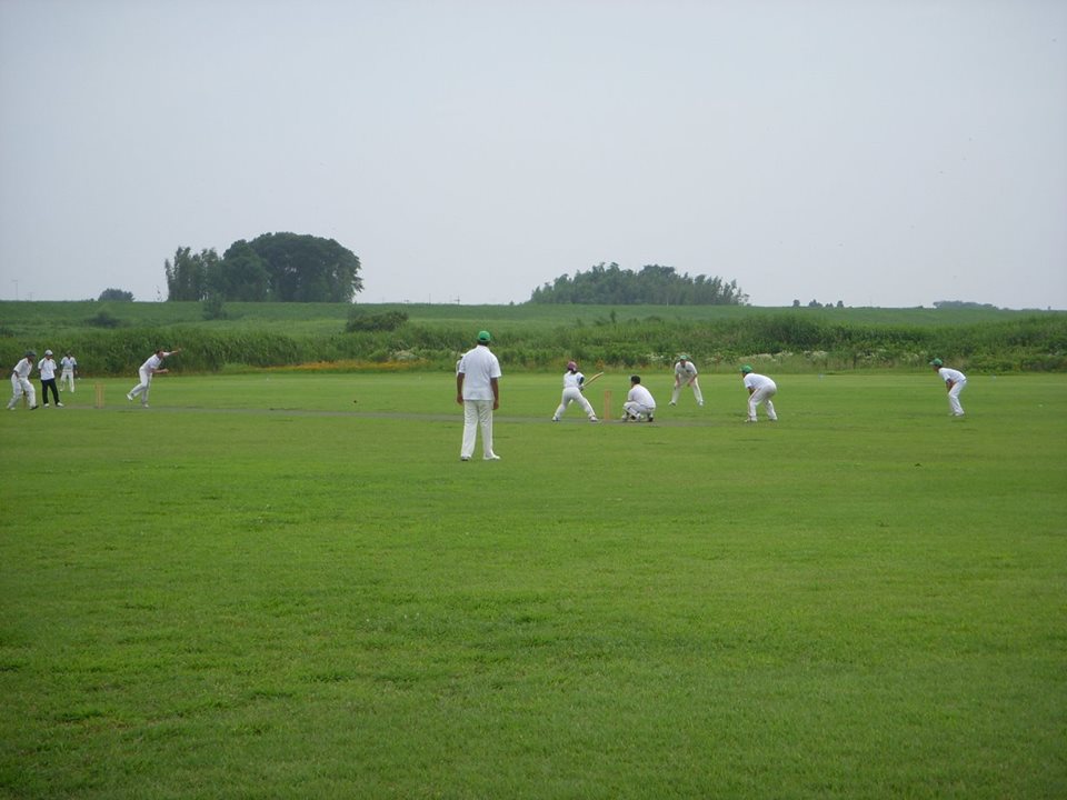 in the field